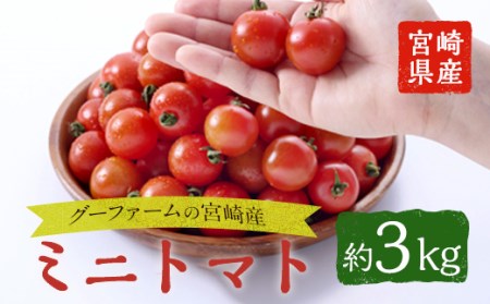 ＜先行予約受付中！2025年12月から順次発送予定＞＜期間限定＞ ミニトマト(約3kg)【GF-2】【グーファーム】 ミニトマト(約3kg)野菜 とまと フルーツトマト サマー千果 アイコ サラダ 【GF-2】【グーファーム】