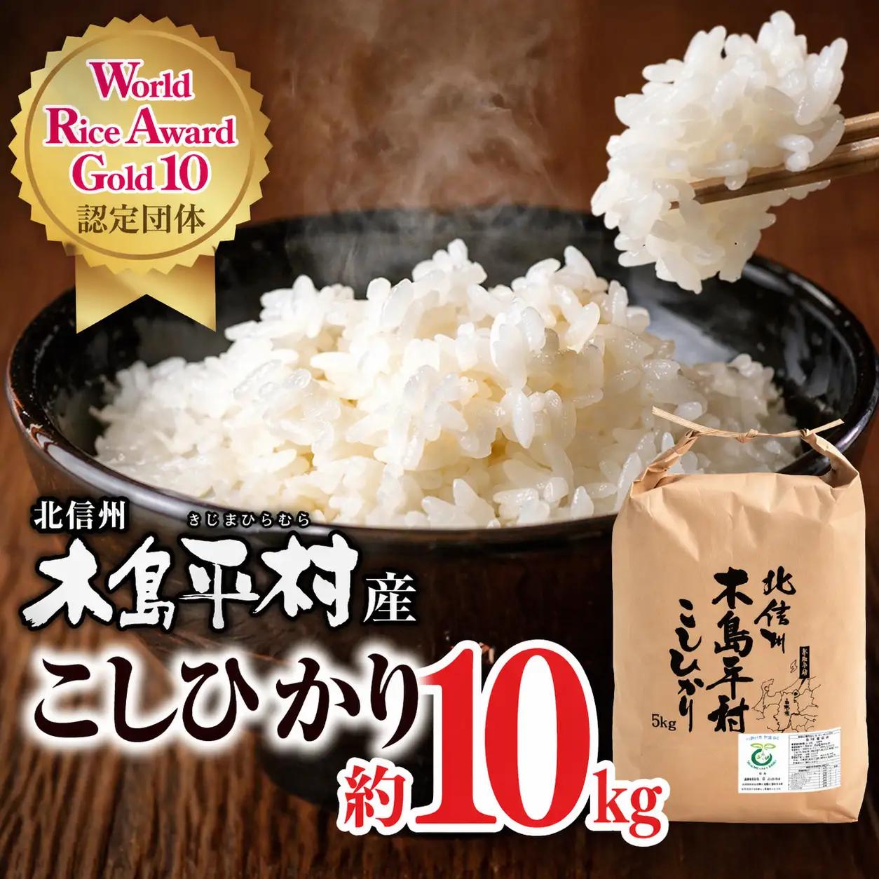 【令和8年産新米 先行予約】木島平産こしひかり 約10kg | 米 白米 精米 特別栽培米 コシヒカリ こしひかり お米 おこめ 減農薬 長野県 木島平村 信州
