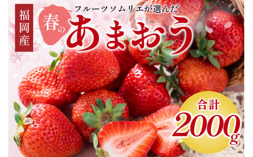 フルーツソムリエが選んだ福岡産【春】あまおう8パック【011-0051】