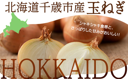 玉ねぎ 10kg Mサイズ 北海道 千歳市産 甘い たまねぎ 野菜 冷蔵 タマネギ 【假屋フードブリッジ】