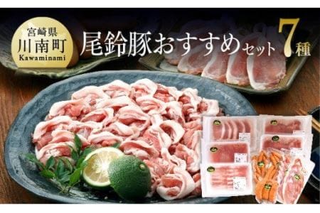 尾鈴豚 豚肉おすすめセット【肉 豚肉 国産 豚肉 九州産 豚肉 宮崎県産 豚肉 豚しゃぶ カツ 豚肉 焼肉 豚肉 バーベキュー 豚肉 バラエティ 豚肉セット BBQ 豚肉 セット 豚肉 グランピング 豚肉 キャンプ 豚肉 焼き肉 豚肉 送料無料 豚肉 】