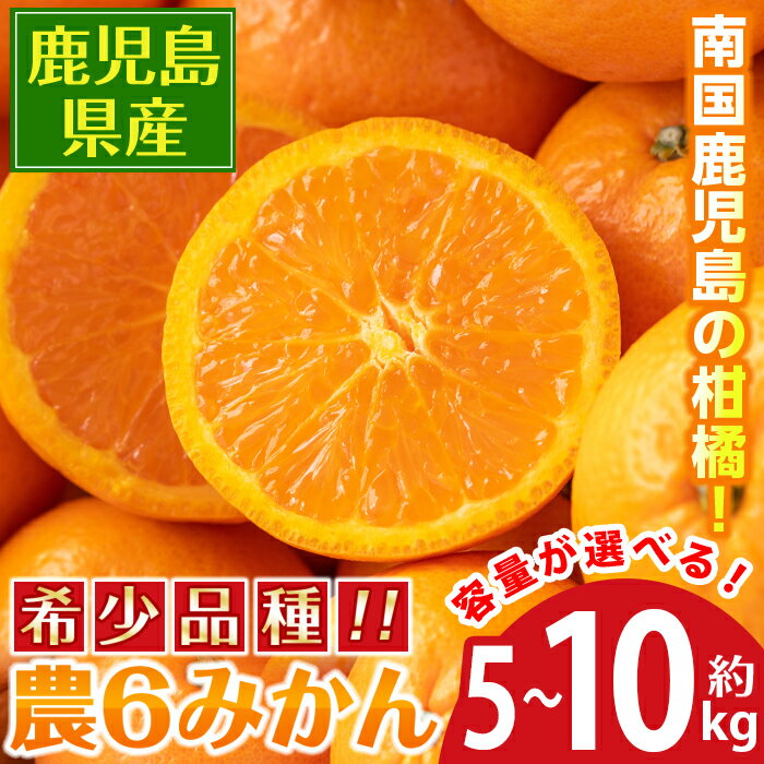 【ふるさと納税】＜2026年3月下旬～6月中旬の間に発送予定＞農6みかん(約5kg or 約10kg) 果物 フルーツ 果実 柑橘 国産 鹿児島県産 みかん ミカン 蜜柑【江崎果樹園】