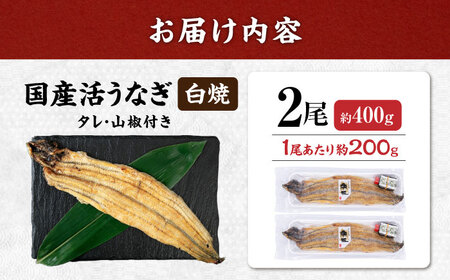 国産活うなぎ2尾（白焼） 滋賀県長浜市/株式会社魚三[AQDF011]