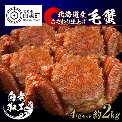 ふるさと納税 白老町 毛蟹 ボイル済み 冷凍 4尾セット 約2kg BM050