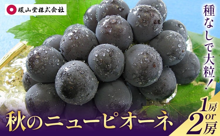 
                  【2026年先行予約】秋の ニューピオーネ 1房 約600g 2房 1kg以上 環山堂株式会社《2026年8月下旬-9月下旬頃より発送予定》岡山県 浅口市 ぶどう 葡萄 ピオーネ フルーツ 果物 送料無料
                
