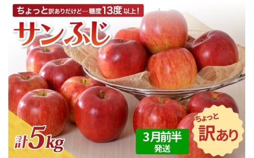 【先行受付】【2026年3月前半発送】【訳あり】 りんご 約5kg サンふじ 青森産