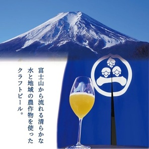 BRIGHT BLUE BREWING ブルーラベル Black IPA 330ml 6本セット  ビール クラフトビール マイクロブルワリー 山梨 富士吉田