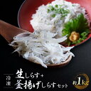 【ふるさと納税】冷凍生しらす＋釜揚げしらすセット 約1kg（生しらす100g × 5・釜揚げしらす70g × 7）静岡県御前崎産 しらす丼 小分け 個包装 便利 大容量 徳用 海鮮丼 どんぶり 刺身 おつまみ おかず 惣菜 晩ごはん | 魚 お魚 さかな 食品 人気 おすすめ 送料無料