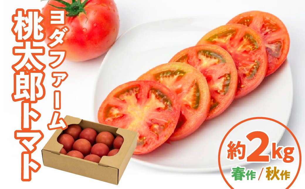 
                  【選べる時期】桃太郎トマト 2kg SWBQ001
                
