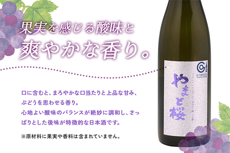 やまと桜 純米大吟醸 出羽燦々 1800ml×1本 日本酒 地酒 老舗酒蔵 山形 庄内町