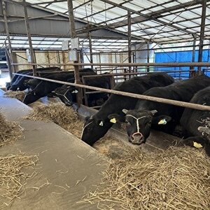 【小町の里・幸牛】黒毛和牛ももスライス450g【配送不可地域：離島】【1688256】