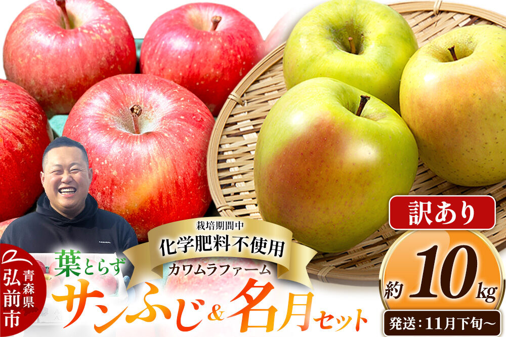 【26年11月下旬〜発送】りんご 葉とらず サンふじ＆名月 セット【訳あり】約10kg【先行受付】カワムラファーム 青森県 弘前市 果物 フルーツ 林檎 リンゴ くだもの 不揃い 規格外 [先行予約 産地直送 詰め合わせ アップル おいしい 果実 美味 甘い 赤色 黄色]