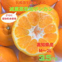 【ふるさと納税】先行予約　＜訳あり＞　ぽんかん 3.5kg 高糖度 みかん 柑橘 高知県 高知 土佐清水 甘い ジューシー 完熟 フルーツ 果物 ポンカン ビタミンC 旬 M～2Lサイズ 減農薬 乳酸菌生成液 産直 季節限定 家庭用 ふるさとのうぜい 返礼品【R00890】