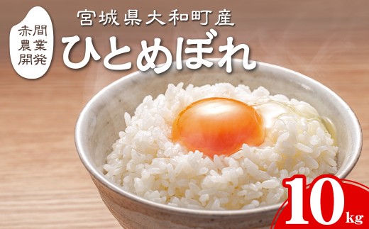 【令和8年産 新米】ひとめぼれ 10kg お米 おこめ 米 コメ 白米 ご飯 ごはん おにぎり お弁当【赤間農業開発株式会社】ta461