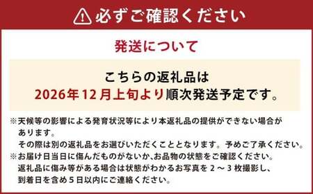 【年4回定期便】 デコポン約3kg （8～12玉入り）×4回 （計約12kg） 【2026年12月上旬発送開始】 でこぽん 果物 くだもの フルーツ 果実 果汁 定期便 年4回 贈り物 熊本県 熊本県