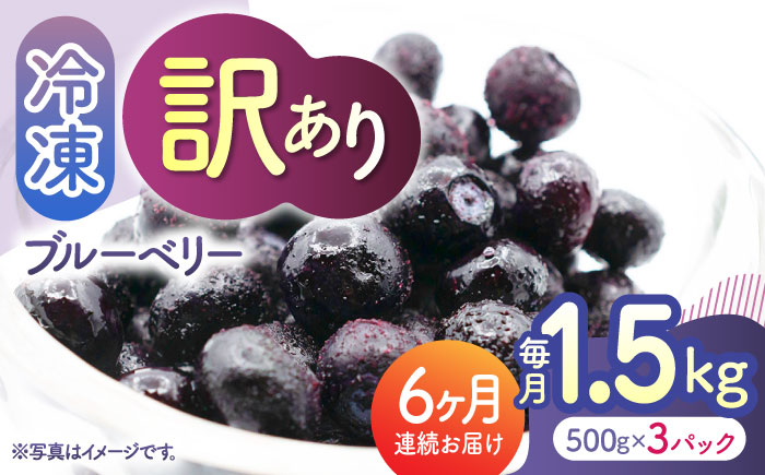 【6回定期便】【訳あり】 冷凍ブルーベリー 小粒 1.5kg（500g×3pc） 【すみれファーム】 [ZEP052]