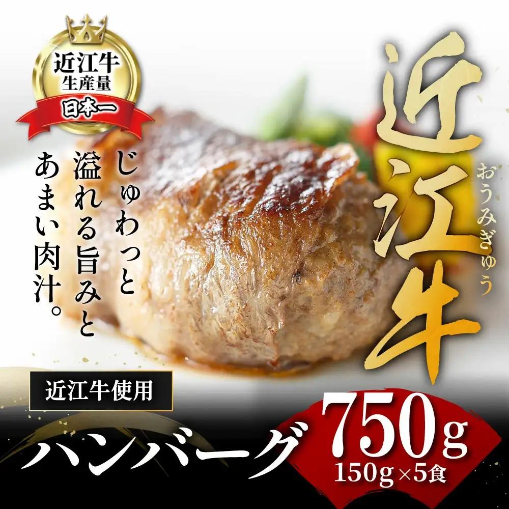 ハンバーグ 近江牛 プレミアム 750g (約 150g × 5個 ) ブランド 牛肉 黒毛和牛 【Y095W】