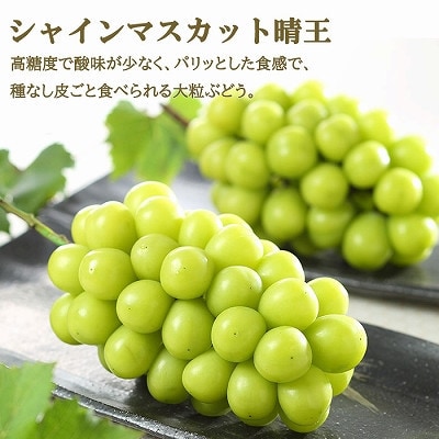 岡山県産 岡山白桃エースLサイズ200g×2玉・シャインマスカット晴王400g×1房 詰合せ【配送不可地域：離島・北海道・沖縄県】【1472028】