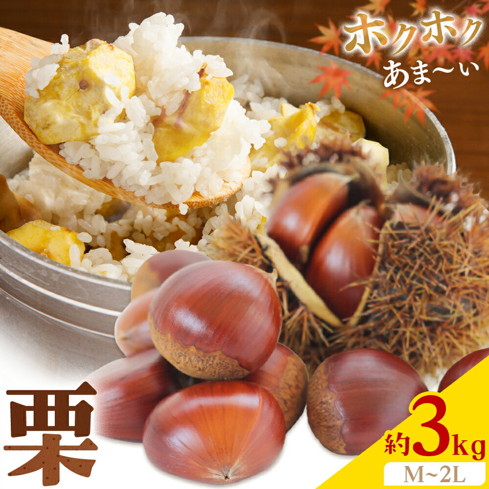 【ふるさと納税】栗 M 〜 2L サイズ 約3kg 日本フルーツ株式会社《9月上旬-10月上旬頃出荷》熊本県 菊池市 栗 くり 熊本県産 秋の味覚 果物 くだもの フルーツ デザート ご飯