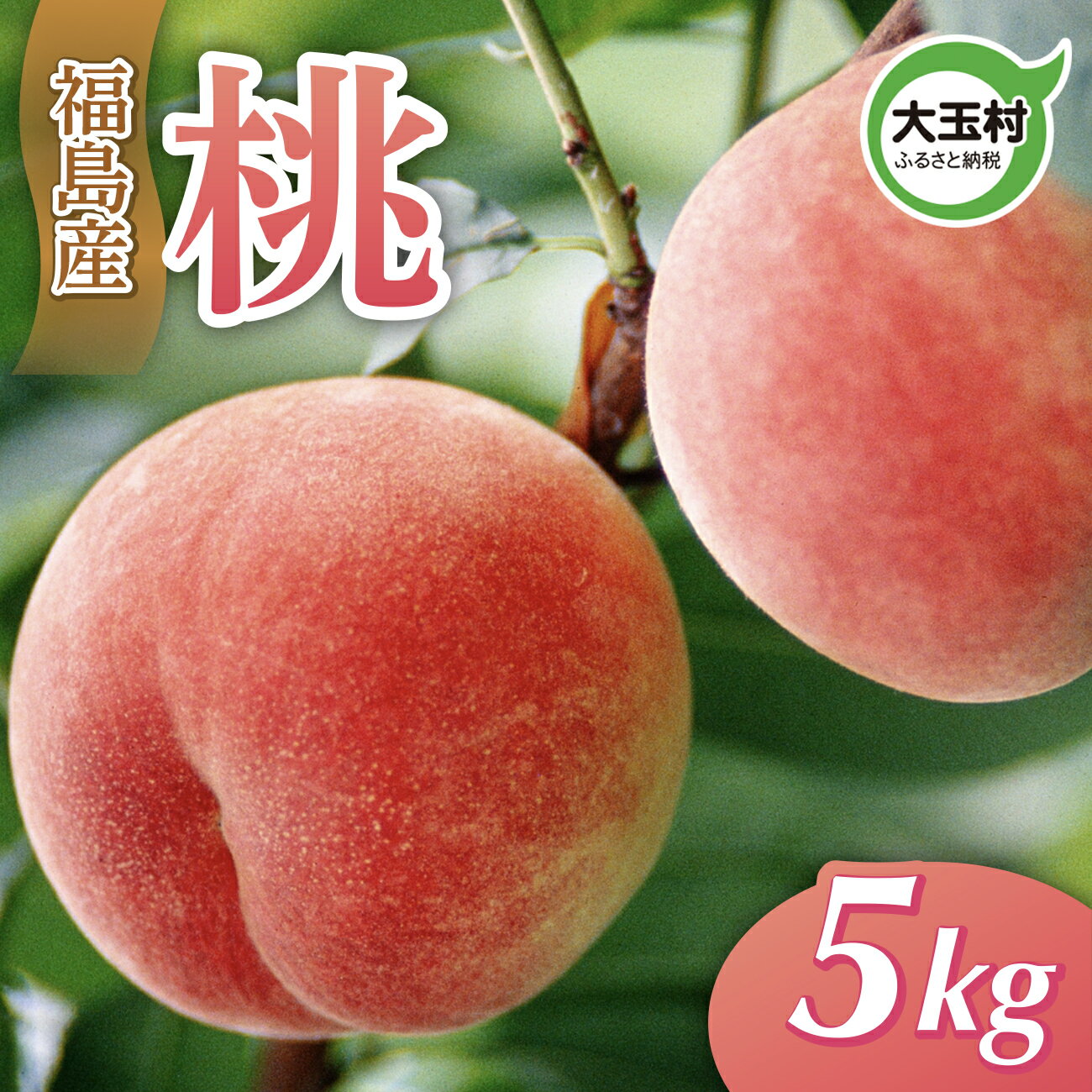 【ふるさと納税】桃 福島 5kg 大玉村産（M〜Lサイズ16-20玉入） 【令和8年分 先行予約 】※7月上旬以降順次発送 ｜ もも モモ 旬 果物 フルーツ 果実 くだもの｜om-mm05-R8