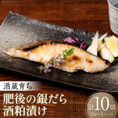 ふるさと納税 八代市 酒蔵育ち 肥後の銀だら 酒粕漬け 2切入×5パック 合計10切_257-6071