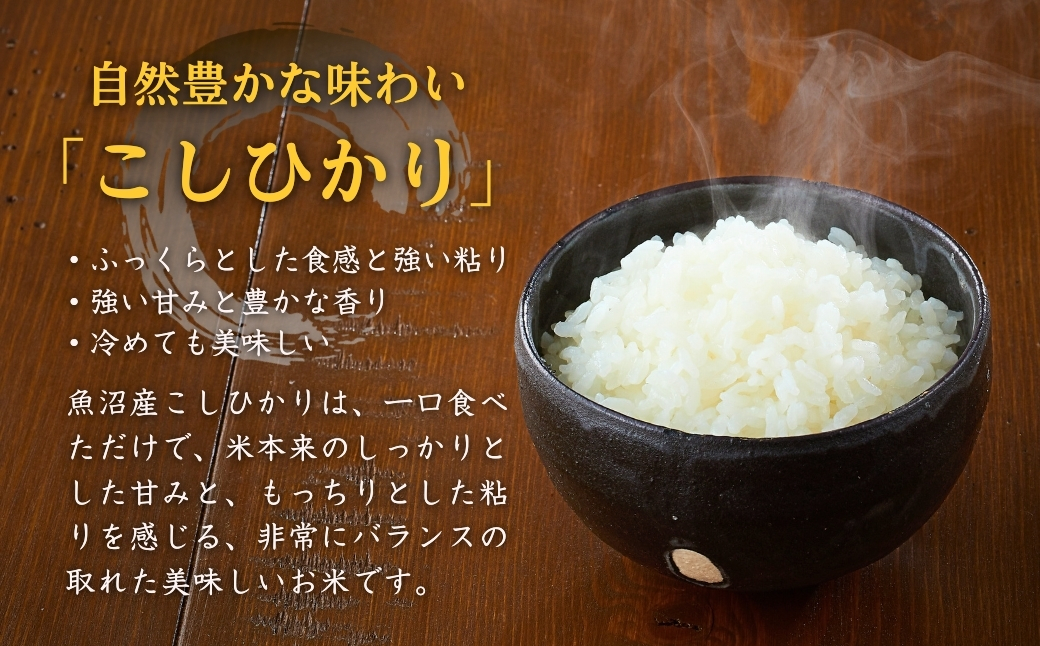令和7年産 雪中貯蔵 魚沼産コシヒカリ 米10kg(1kg×10袋) アグリたかの | 新潟県産 コシヒカリ お米 米 こしひかり おこめ こめ コメ 白米 精米 魚沼産 ブランド米【0055-000