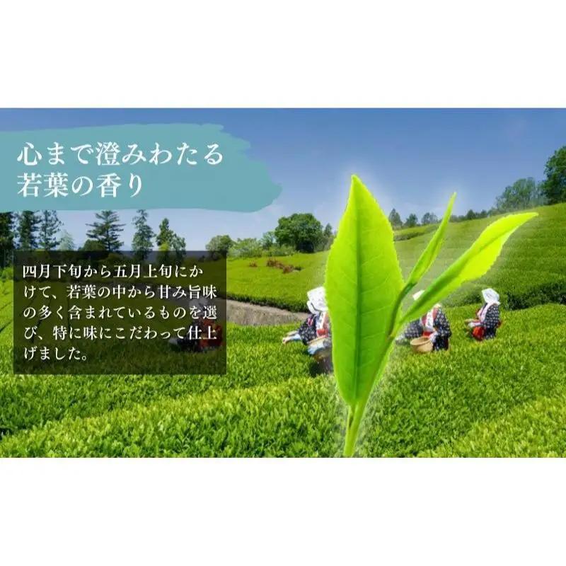 お茶 いしだ茶屋 煎茶 深山 ティーバッグ お茶