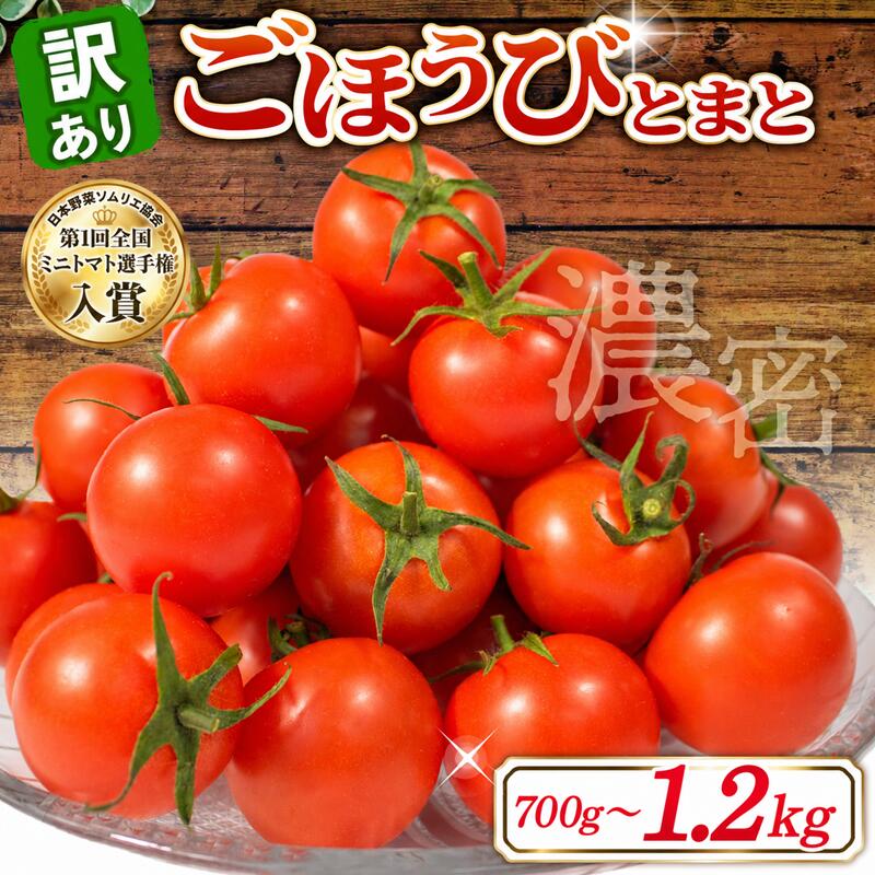 【ふるさと納税】 先行予約 訳あり トマト 700g 1kg 1.2kg とまと 甘い 高糖度 フルーツ ミニトマト 果物 濃厚 産地直送 とれたて 徳用 規格外 不揃い フルーツトマト ごほうびとまと 風の子ファーム 埼玉県 羽生市