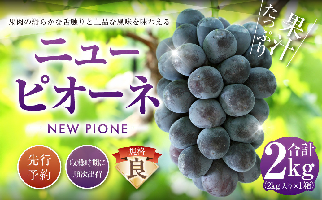 
                  ニューピオーネ（良） 2kg ぶどう 葡萄 フルーツ 果物 岡山県 岡山県産 2027年 先行予約 【2027年8月下旬-9月下旬発送予定】
                