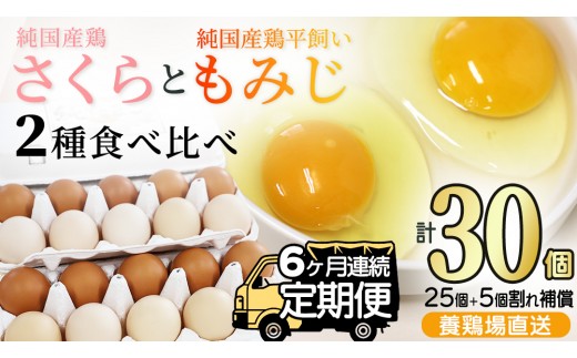 ＼6ヶ月連続お届け／純国産鶏【さくらともみじ】純たまご 30個入り 破損保証5個を含む【たまご 卵 玉子 鶏卵 純たまご 採れたて 新鮮 卵 農地直送】(AJ033)
