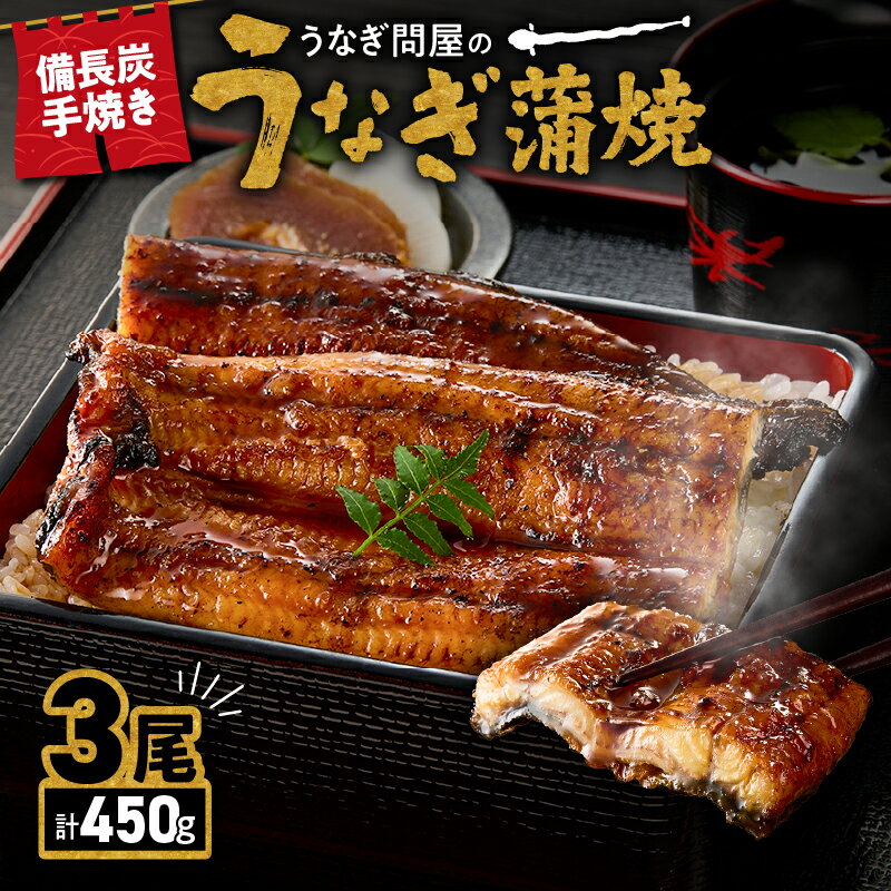 【ふるさと納税】【土用の丑の日特集】【選べる配送時期】うなぎ問屋の 備長炭手焼 うなぎ蒲焼3尾（450g） うなぎ 国産 九州 本格 鰻 ウナギ 蒲焼 冷凍 湯煎 レンジ 解凍 鰻丼 鰻重 ひつまぶし 魚 土用の丑 早期受注 予約 先行予約 【大隅うなぎ販売有限会社】