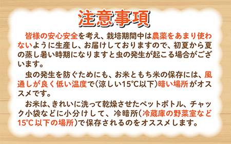 ｚ－６０ 【令和５年産】永石さんちのホタル米 さがびより １０ｋｇ 