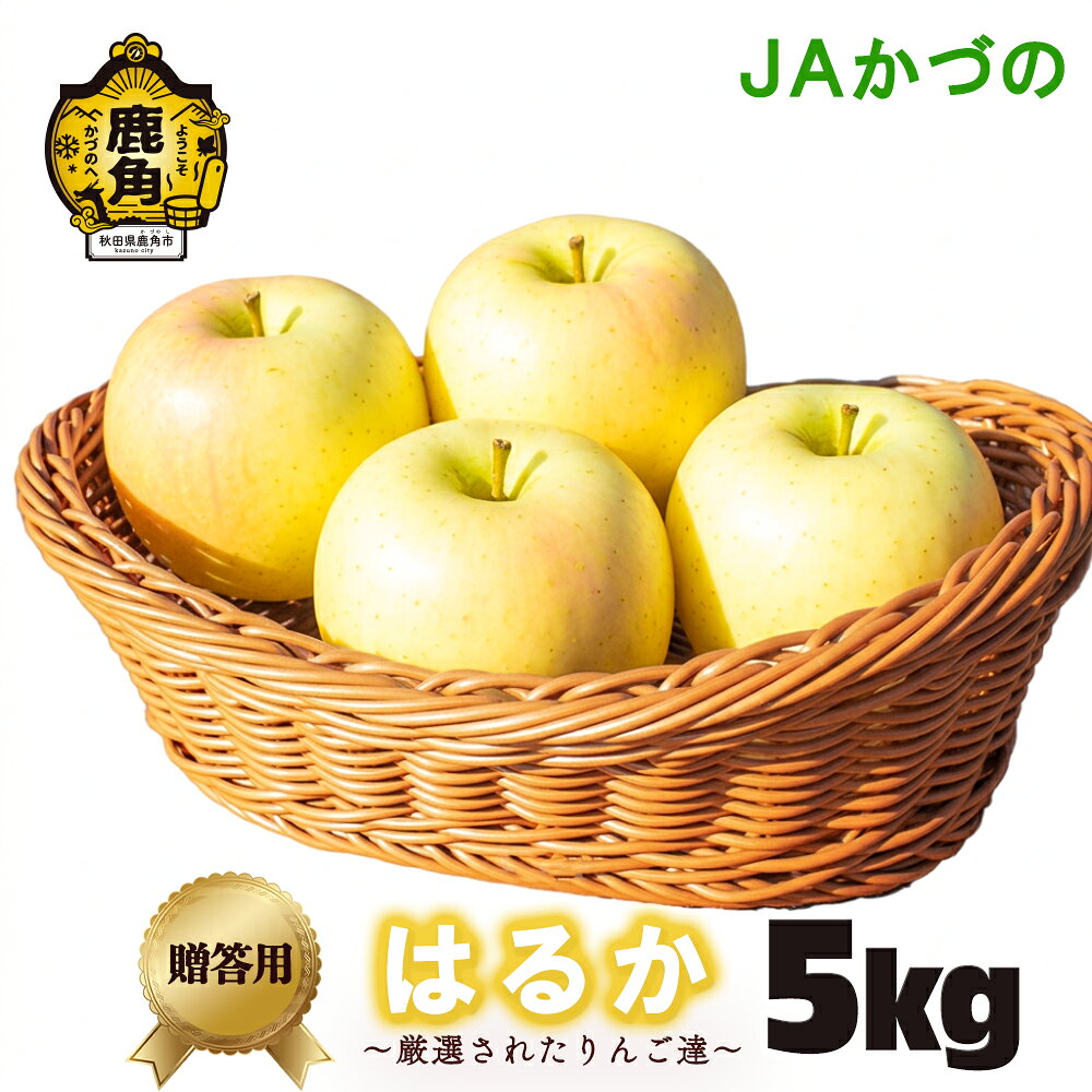 【ふるさと納税】《 先行予約 》JA りんご 贈答用 鹿角産 りんご 有袋 はるか 5kg 林檎 リンゴ 完熟 旬 県産りんご お中元 お歳暮 贈り物 お見舞い ギフト 秋田県 秋田 あきた 鹿角市 鹿角 送料無料 かづの農業協同組合【JAかづの】