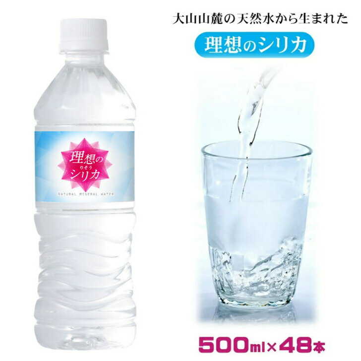 【ふるさと納税】理想のシリカ 500ml × 48本 (1ケース24本入 × 2ケース) 軟水【25-010-011】LeMoN株式会社 水 シリカ水 ミネラルウォーター 天然水 天然シリカ水 シリカウォーター ケイ素水 防災 備蓄 大山山麓 鳥取県 米子市 送料無料 10000円 1万円