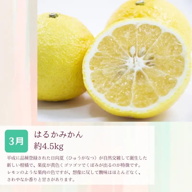 定期便【全3回/2・3・4月】和歌山の春の柑橘 （ポンカン・はるか・ブラッドオレンジ）秀品【tkb452】