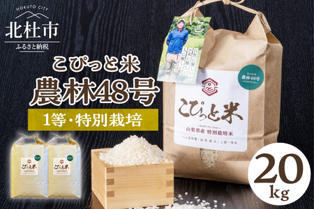 【令和6年度新米先行予約】【令和6年度米】こぴっと米【農林48号】20kg　1等特別栽培米100％