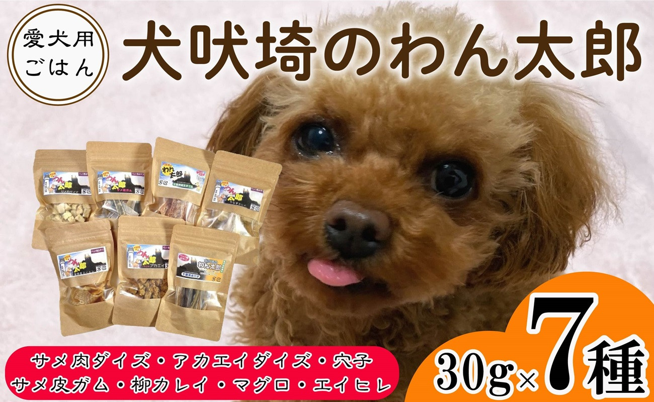 
ドッグフード 7種セット 犬吠埼のわん太郎 サメ肉ダイズ アカエイダイズ サメ皮ガム 柳カレイ 穴子 マグロ エイヒレ ～犬のメタボ対策～ ペットのごはん ペットのおやつ ペットフード 愛犬用 愛犬用ごはん わんちゃん ペット 本宮商店 千葉県 銚子市

