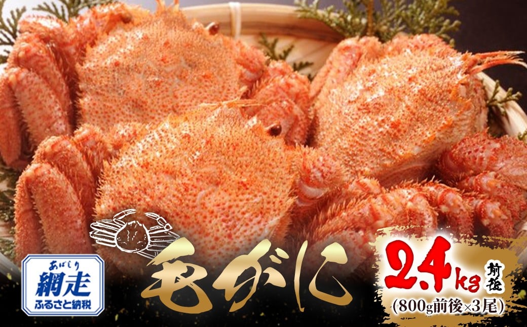 
            網走産 毛がに2.4kg前後（800g前後×3尾） 【 ふるさと納税 人気 おすすめ ランキング かに カニ 蟹 毛ガニ 毛がに 毛蟹 網走産 冷凍 蟹みそ カニみそ 蟹味噌 オホーツク 北海道産 北海道 網走市 送料無料 】ABW111
          