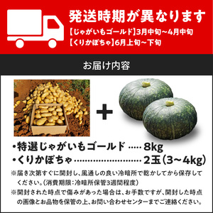 【2026年先行予約】前原さんの特選 じゃがいも ゴールド 8kg＆くりかぼちゃ 2玉 C062-T04 かぼちゃ 南瓜 先行予約 先行受付 予約 特選ジャガイモ 野菜 やさい パンプキン 栗かぼちゃ