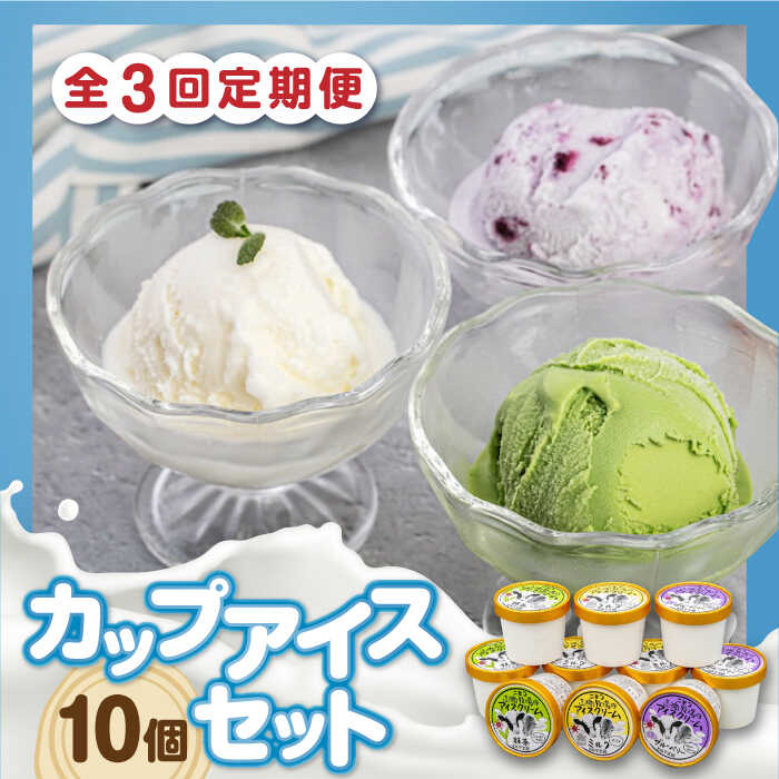 【ふるさと納税】【全3回定期便】 カップアイスセット 10個 《喜茂別町》【ニセコリゾート観光協会/ミルク工房】 アイス アイスクリーム ジェラート ミルク 抹茶 ブルーベリー 詰め合わせ ギフト 冷凍配送 北海道 定期便 定期 [AJAI056] 33000 33000円