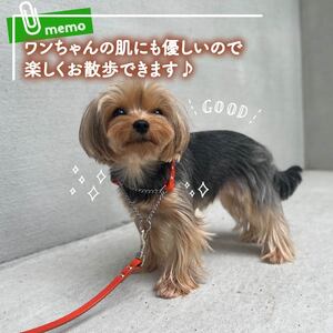【 ペット 用 】 首輪 ハーフチェーン 小型犬 首輪 Lサイズ オレンジ 35-41cm 