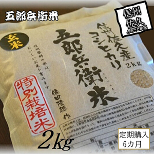【令和7年産・玄米2kg×6カ月定期便】 特別栽培米 五郎兵衛米〈2025年9月中旬頃～順次発送〉 先行予約 新米 信州こしひかり コシヒカリ こしひかり 長野県 佐久市
