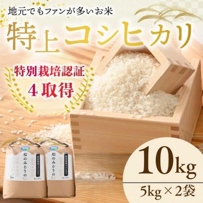 ふるさと納税 小浜市 令和7年産　特別栽培米コシヒカリ10kg(5kg×2袋)　福井県小浜市「松のみどりの」 | 