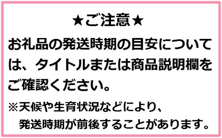 りんご【ぐんま名月】12～18玉（約5kg）【2024年産・先行予約】