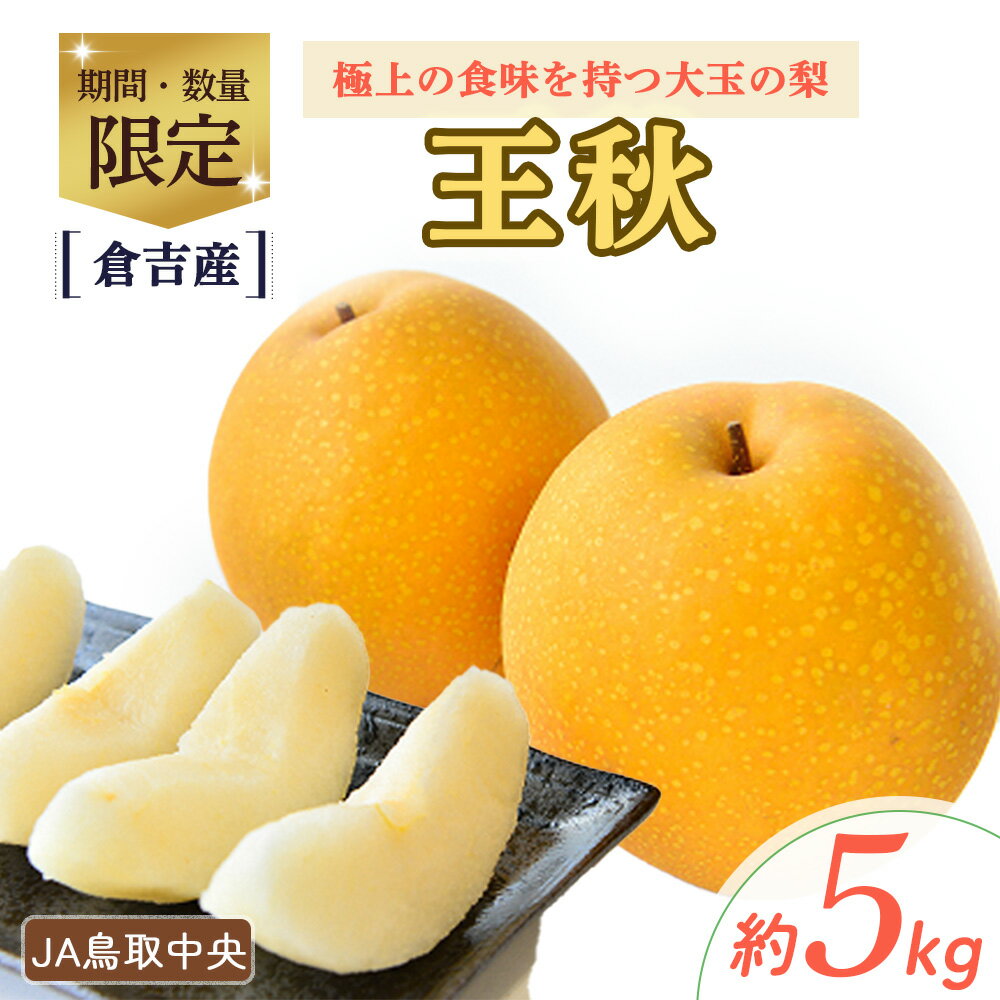 【ふるさと納税】 王秋 【倉吉産】5kg（JA鳥取中央） 梨 なし ナシ おうしゅう 王秋 ブランド梨 鳥取 果物 フルーツ 和梨 先行予約 数量限定 詰め合わせ 人気 甘い 17000 1万7千円