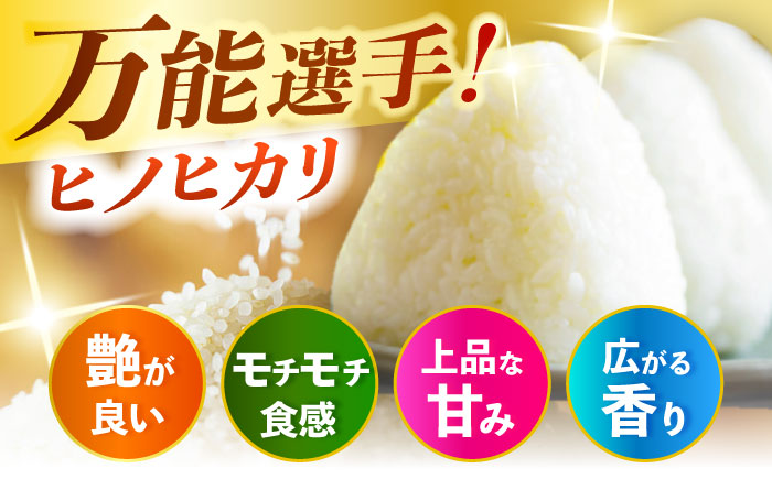 【先行予約・26年5月以降発送】令和7年産大分県産ヒノヒカリ 5kg　日田市 / JAおおいた日田グリーンセンター こめ コメ 米 [ARDX011]