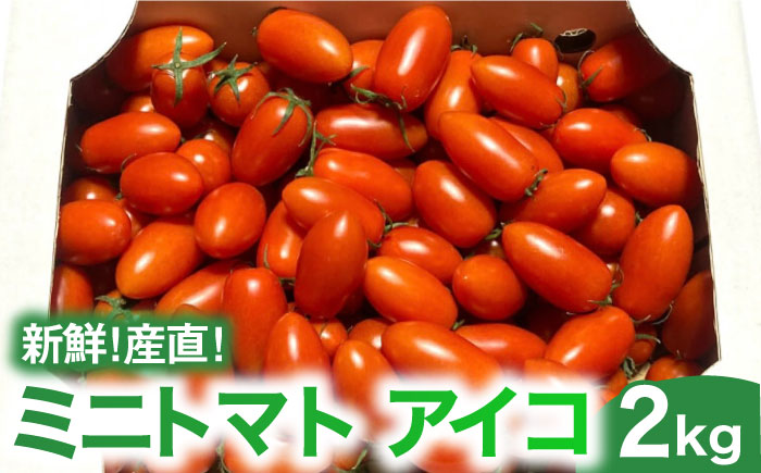 【新鮮 ！ 産直 】ミニトマト （ アイコ ） 2kg / トマト 南島原市 /  AOTASFARM [SDM002]