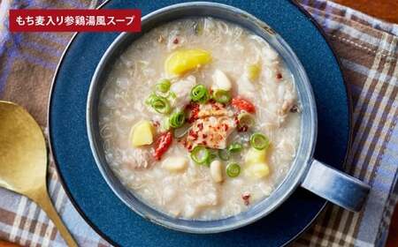 【 毎日の食事にちょい足し 】 ぶどうの樹の 「 健康応援ごはん 」 たんぱく質が摂れるシリーズ 4食セット 冷凍 おかず 簡単 時短 料理 もち麦 参鶏湯風スープ ハンバーグ 和風 シチュー 国産牛