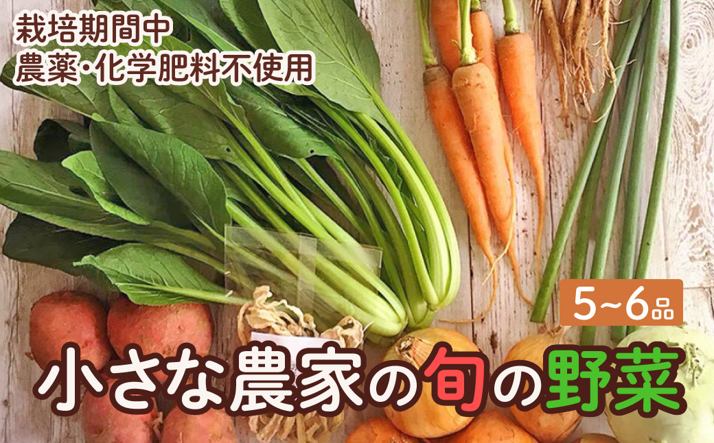 
                  【使い切りサイズ】野菜セット 旬の野菜 5～6品 おまかせ 農薬化学肥料低減 豊橋市 野菜セット 野菜セット 野菜セット 野菜セット 野菜セット 野菜セット 野菜セット 野菜セット 野菜セット 野菜 詰め合わせ 野菜 詰め合わせ 野菜 詰め合わせ 野菜 詰め合わせ 旬の野菜 旬の野菜 旬の野菜 旬の野菜 新鮮 野菜 新鮮 野菜 新鮮 野菜 新鮮 野菜
                