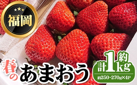 ＜先行予約受付中・数量限定＞2025年3月からお届け！春のあまおう(計約1kg・約250～270g×4P) 苺 いちご イチゴ フルーツ 果物 くだもの 手作り スイーツ ＜離島配送不可＞【ksg1250】【THE FARM_strawberry】